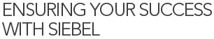 Ensuring Your Success with Siebel